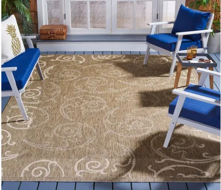 Courtyard Home Indoor/Outdoor Area Rug in Brown & Natural by Safavieh