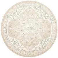 Turbo Area Rug in Light Gray & Ivory by Safavieh