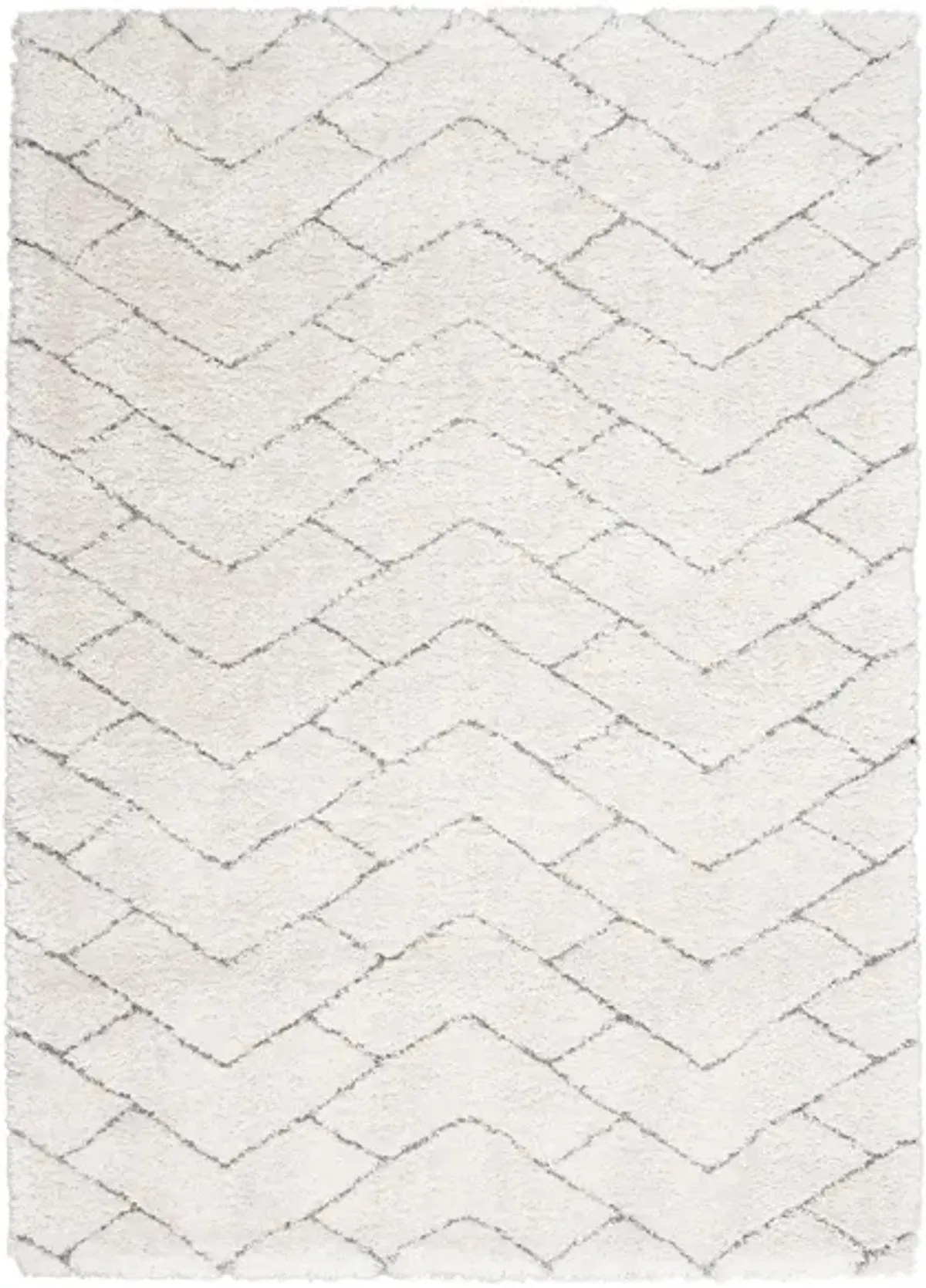 Epicurean Shag Area Rug in Ivory/Grey by Nourison