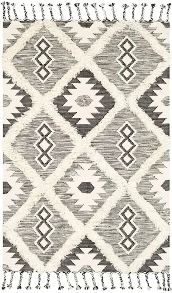 Apache Area Rug