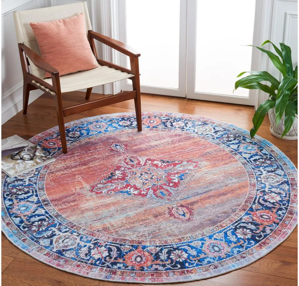 Serapi Area Rug in Rust & Navy by Safavieh