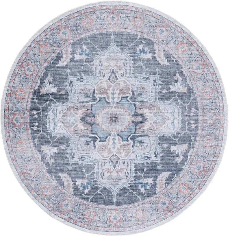 Serapi Area Rug in Charcoal & Ivory by Safavieh