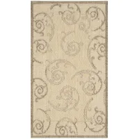 Courtyard Home Indoor/Outdoor Area Rug in Natural & Brown by Safavieh