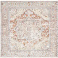 Aeson Area Rug in Rust / Taupe by Safavieh