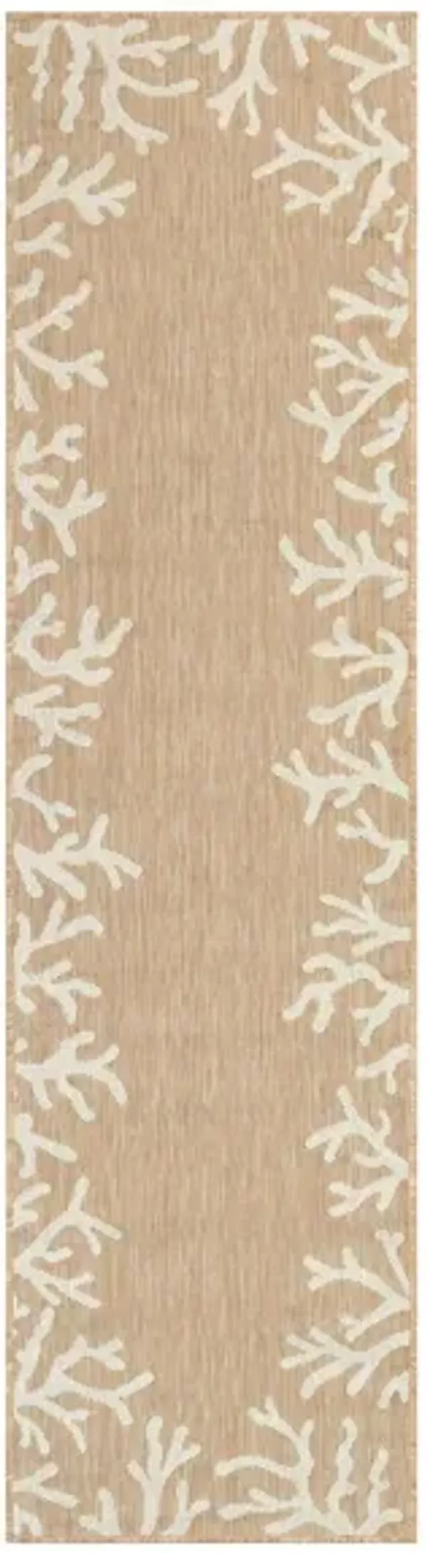 Carmel Coral Border Rug