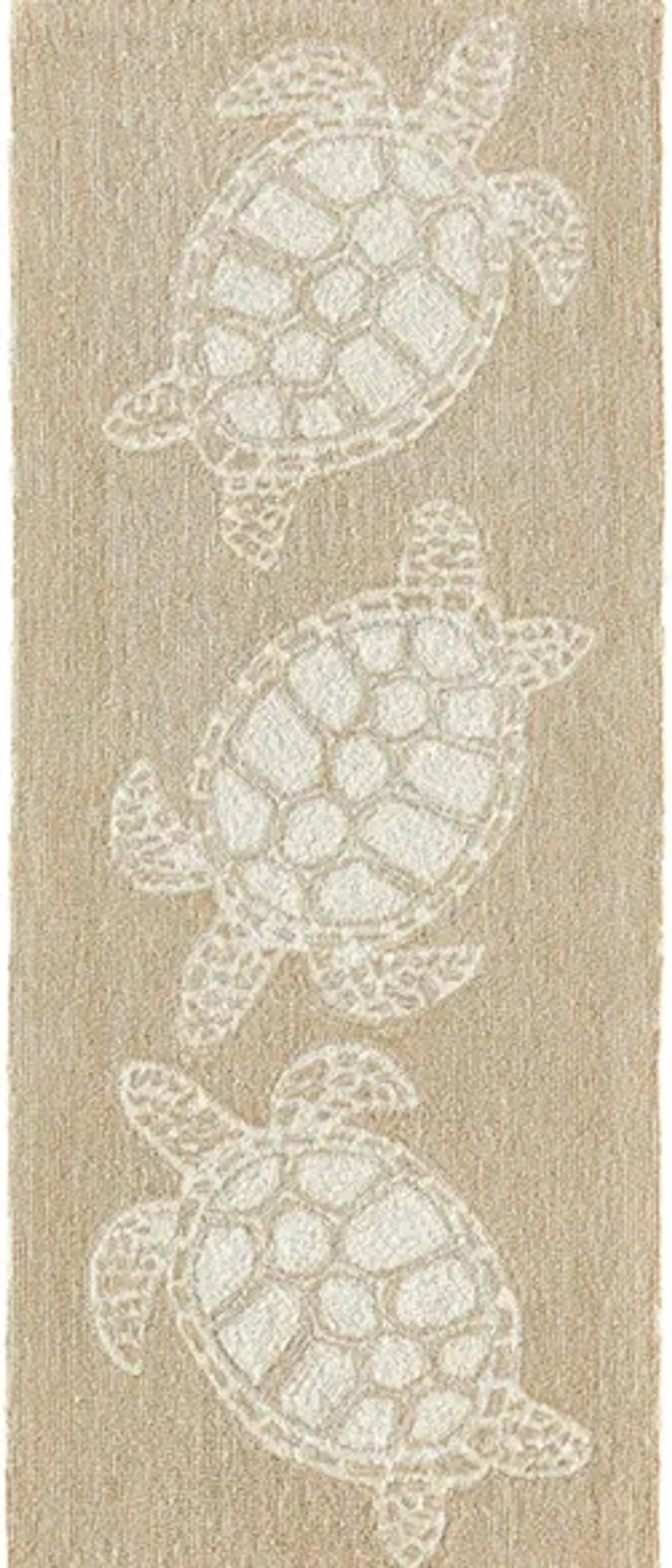 Turtle Indoor/Outdoor Area Rug in Neutral by Trans-Ocean Import Co Inc