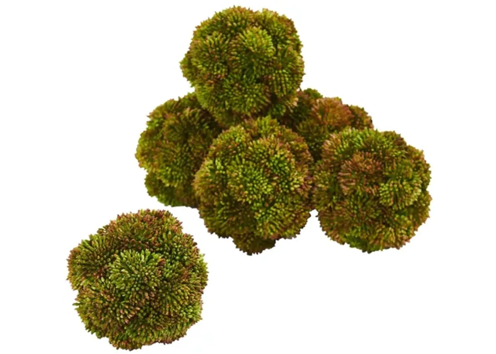 4in. Sedum Artificial Succulent Artificial Spheres (Set of 6) in Green by Bellanest