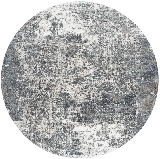 Bartons Area Rug in Gray & Ivory by Safavieh