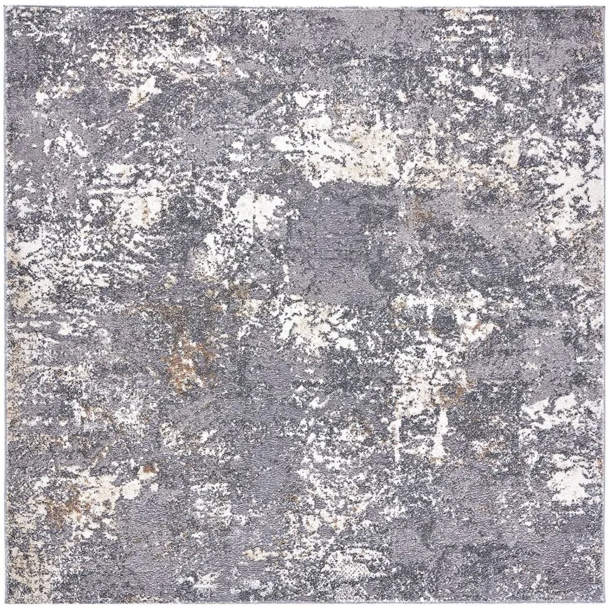 Lloyd Area Rug Square in Gray by Safavieh