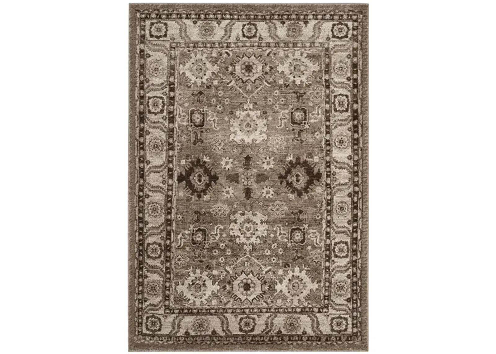 Avicenna Taupe Area Rug