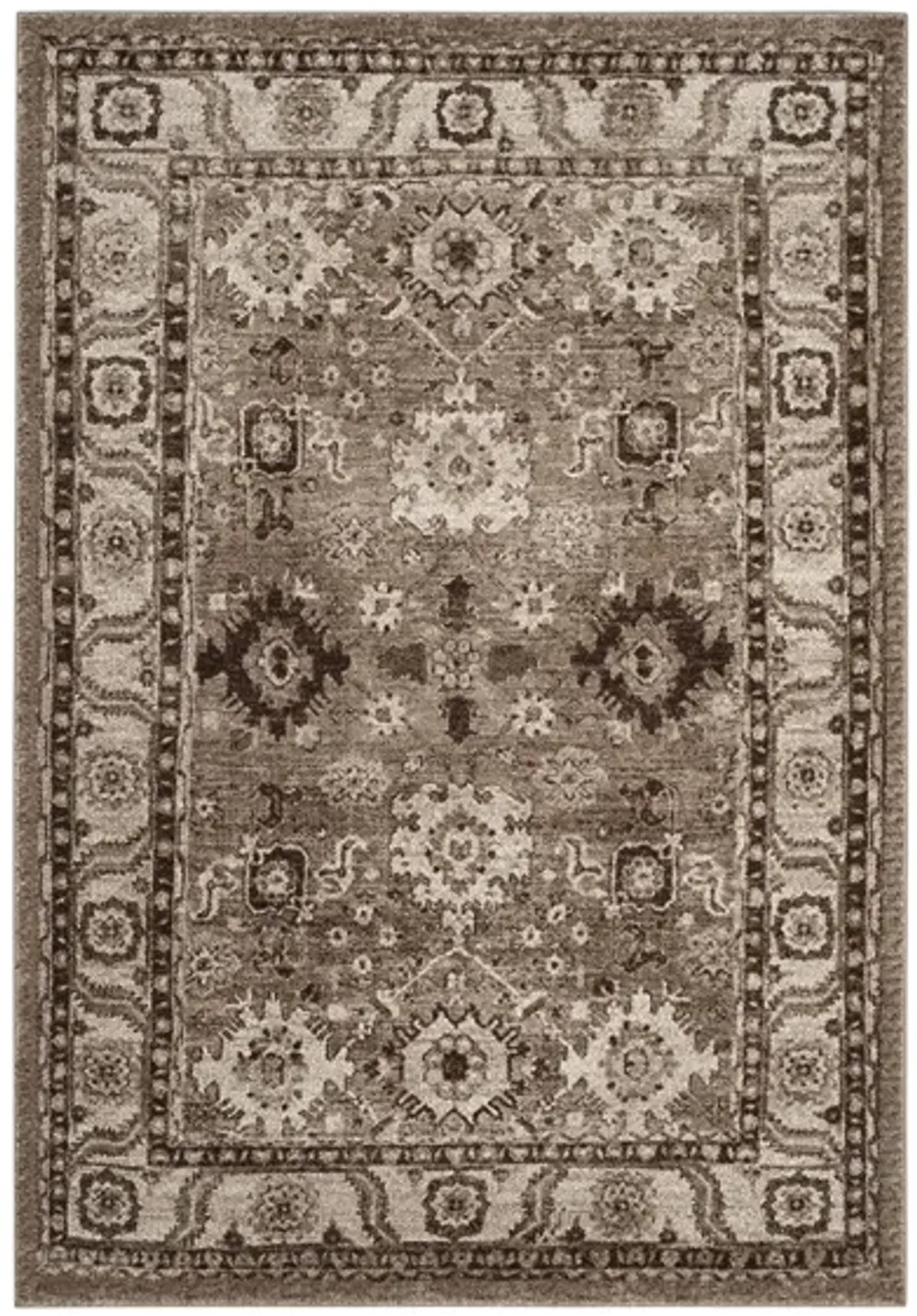 Avicenna Taupe Area Rug