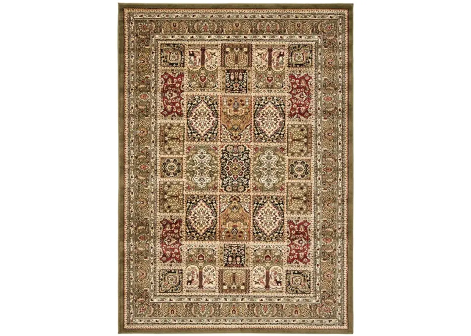 Wight Area Rug in Multi / Green by Safavieh