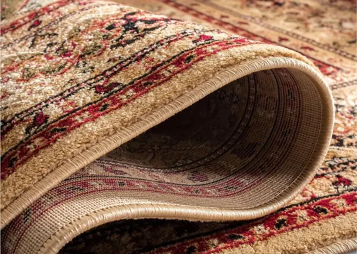 Portsmouth Area Rug