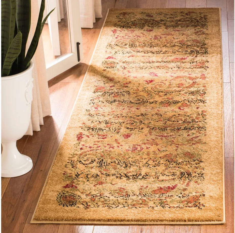 Grimaldi Runner Rug in Beige / Multi by Safavieh