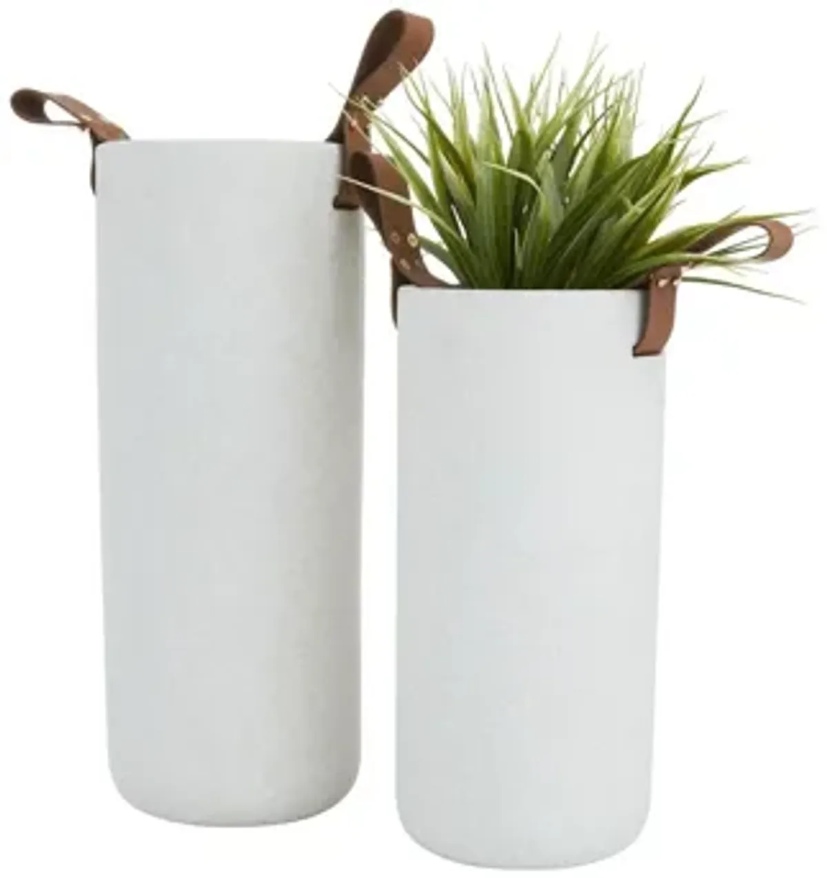 Ivy Collection Eisvogel Vase Set of 2