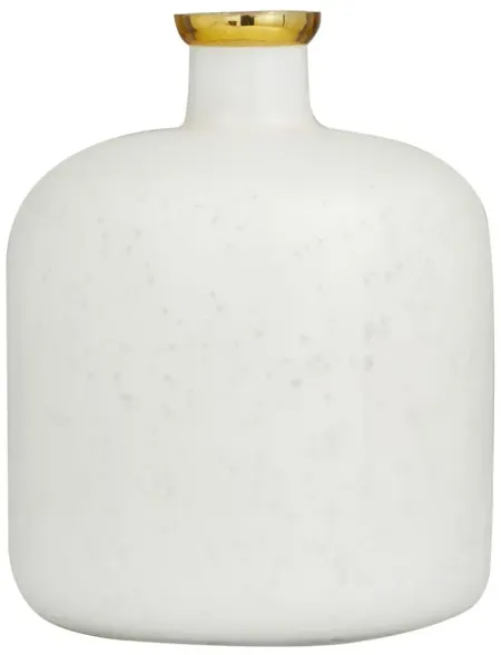 Ivy Collection Samus Vase in White by UMA Enterprises