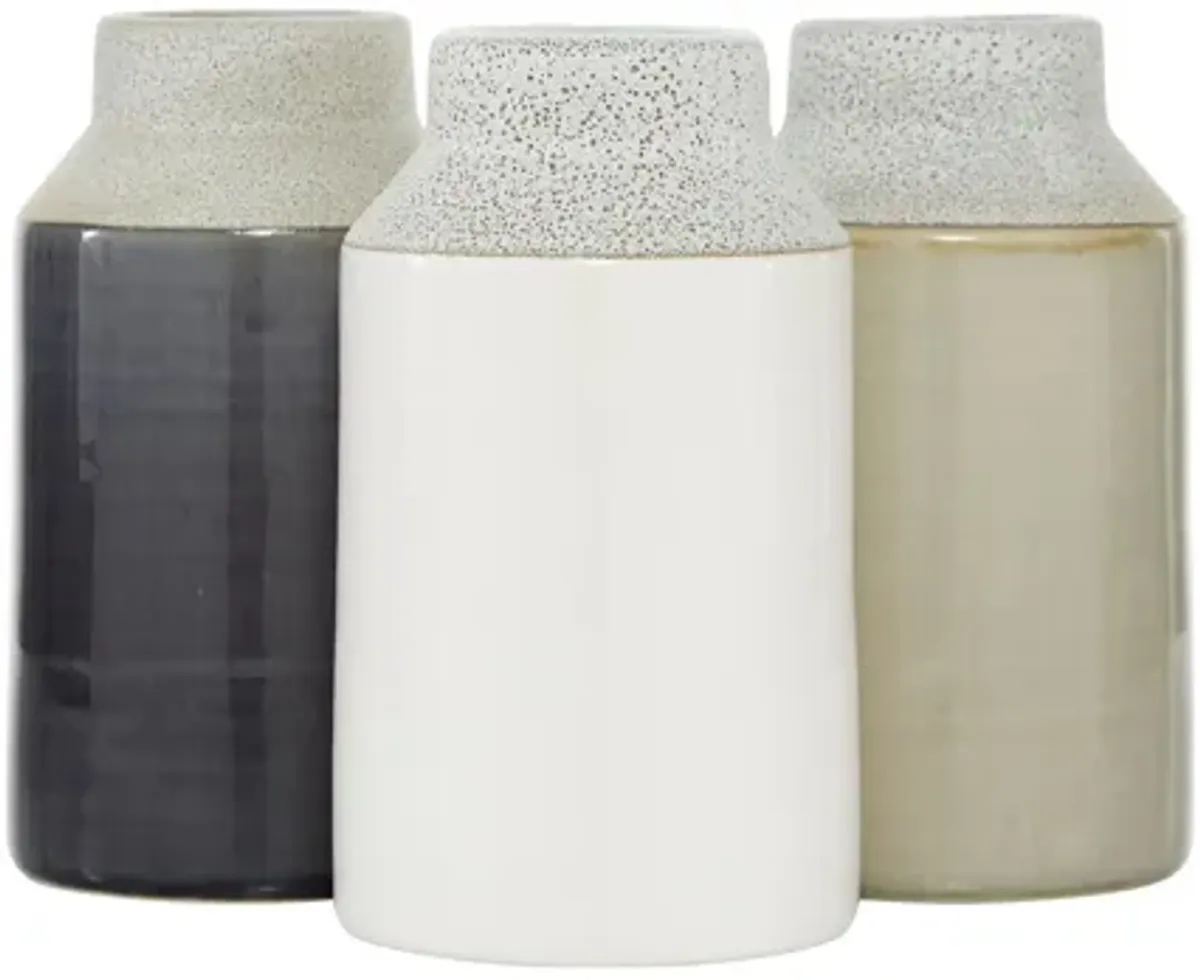 Ivy Collection Jurassic Vase Set of 3
