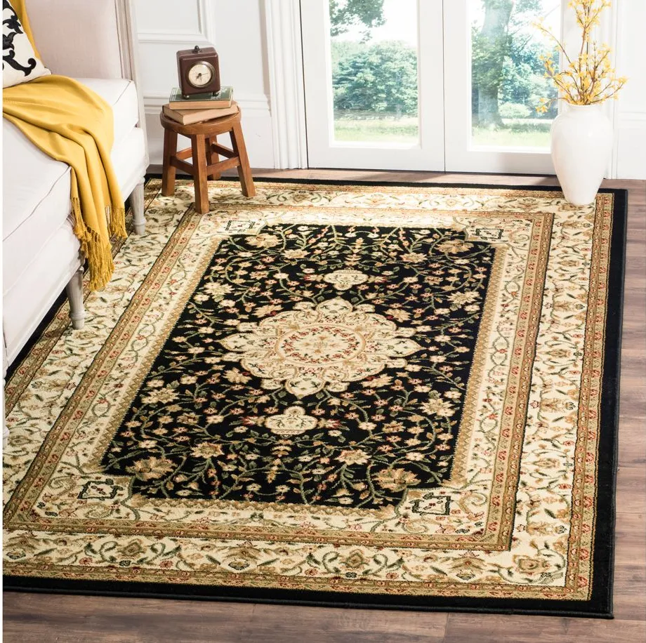 Hampshire Area Rug in Black / Ivory by Safavieh