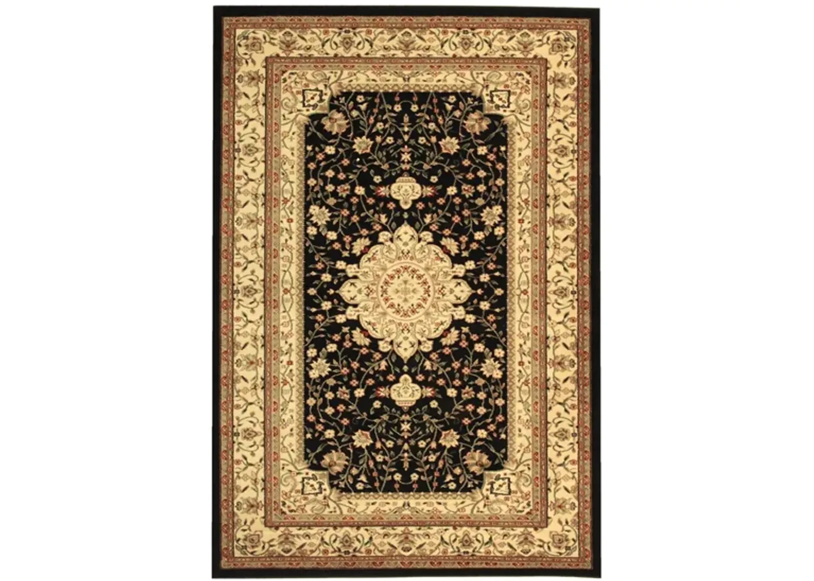 Hampshire Area Rug in Black / Ivory by Safavieh