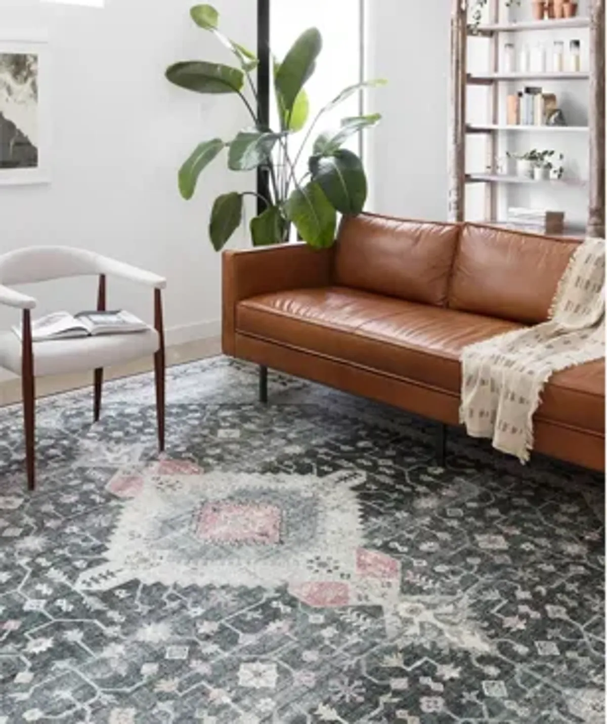 Skye Area Rug