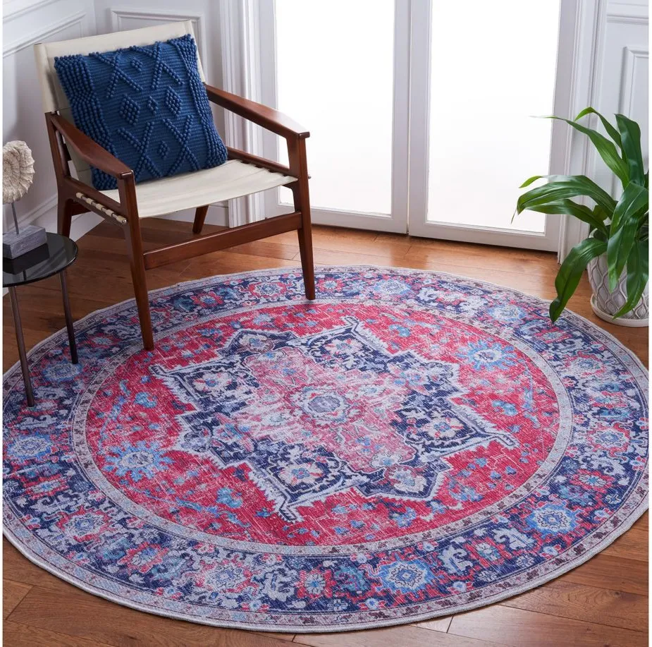 Serapi Area Rug in Red & Navy by Safavieh