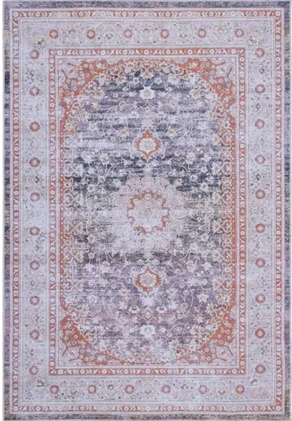 Serapi Area Rug