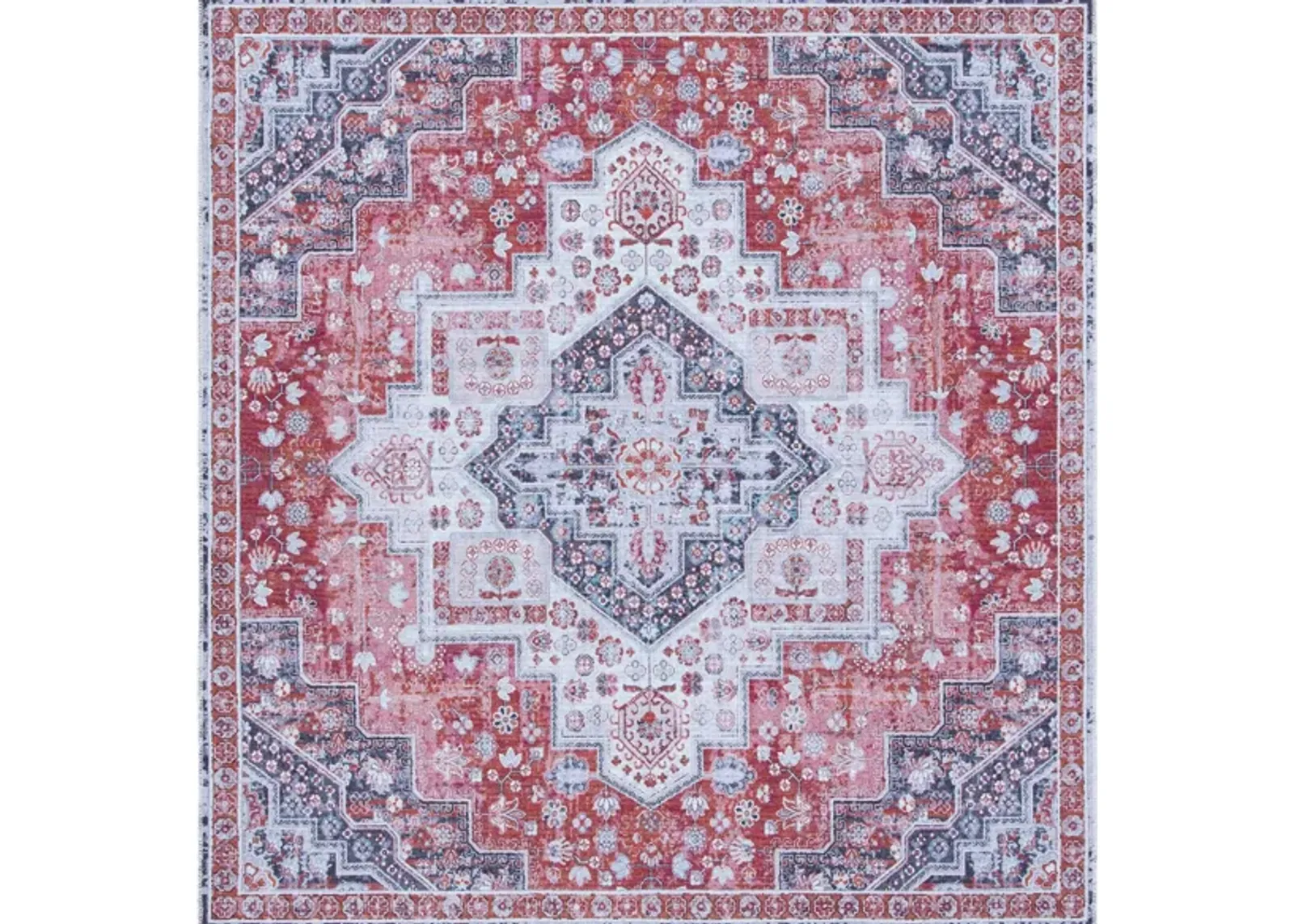 Serapi Area Rug in Rust & Ivory by Safavieh