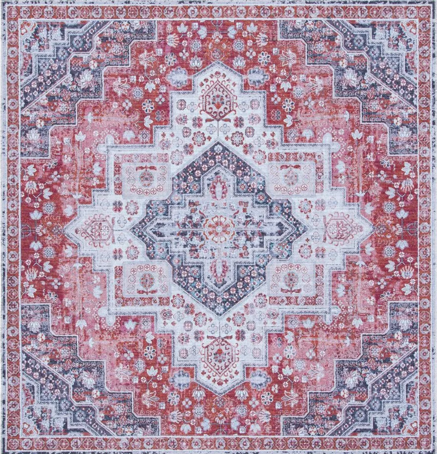 Serapi Area Rug in Rust & Ivory by Safavieh