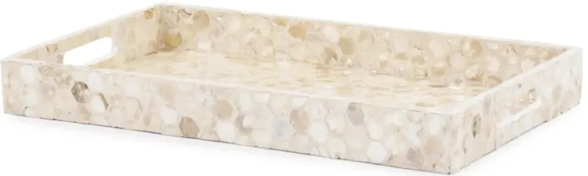 Lynn Capiz Shell Tray