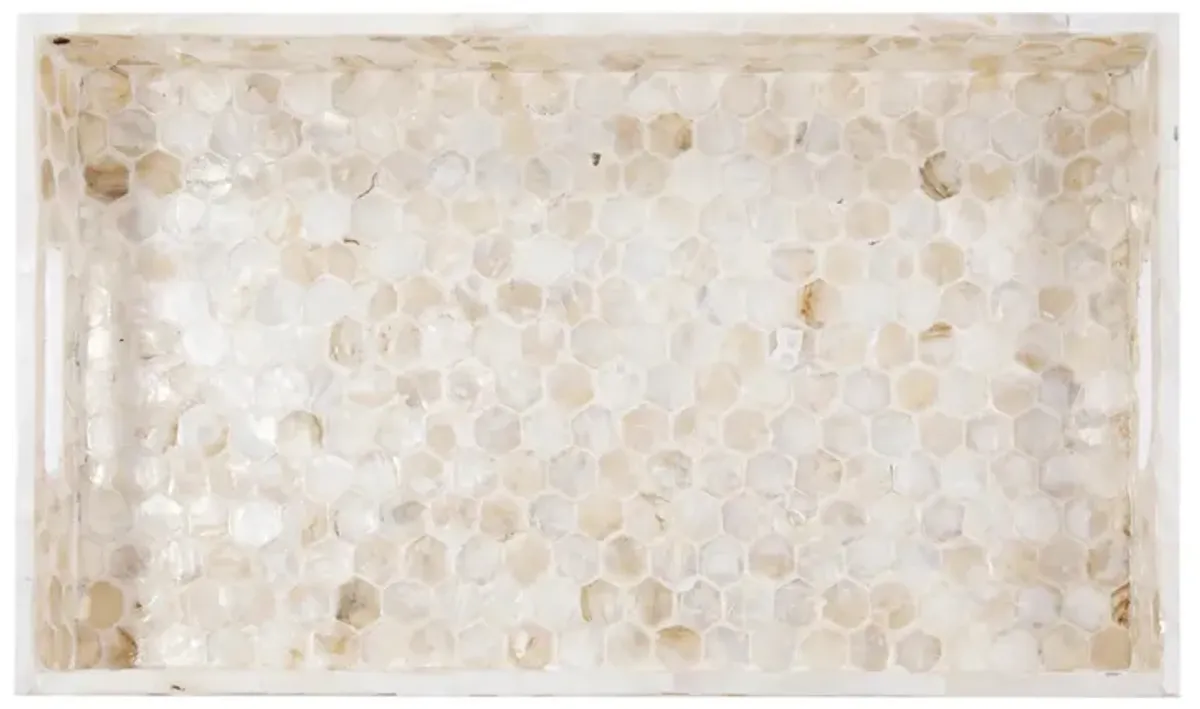 Lynn Capiz Shell Tray