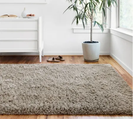 Mila Area Rug in Taupe by Loloi Rugs