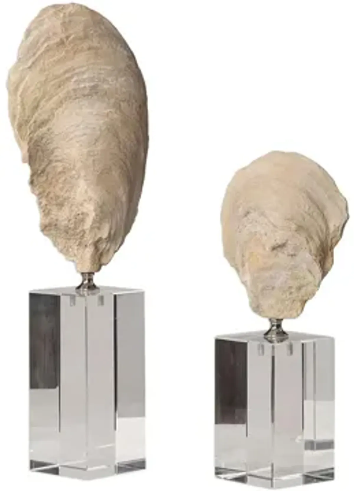 Oyster Shell Sculptures: Set of 2