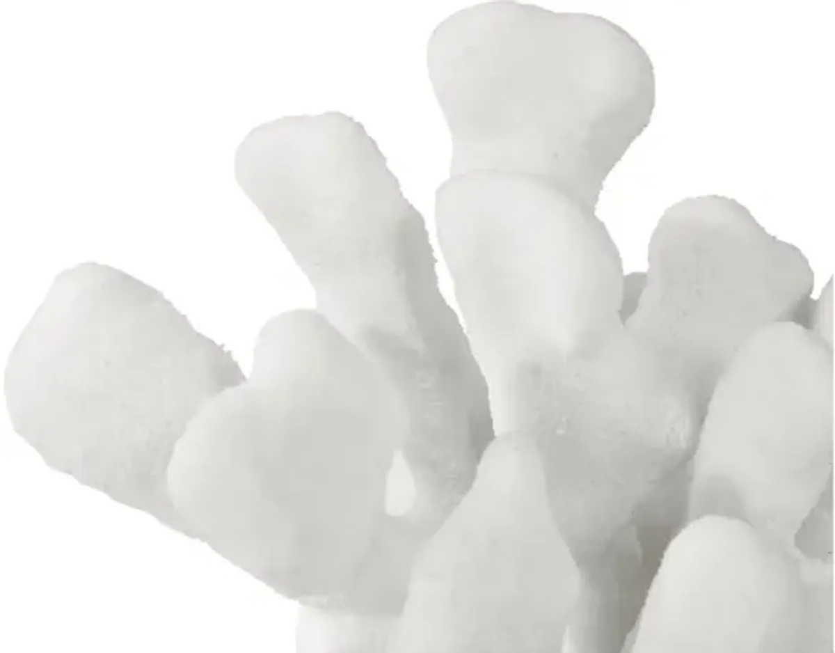 Charbel Bookends: Set of 2