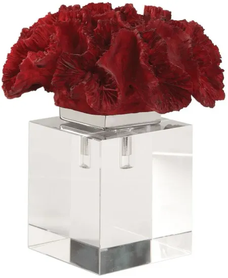 Red Coral Cluster in Red by Uttermost