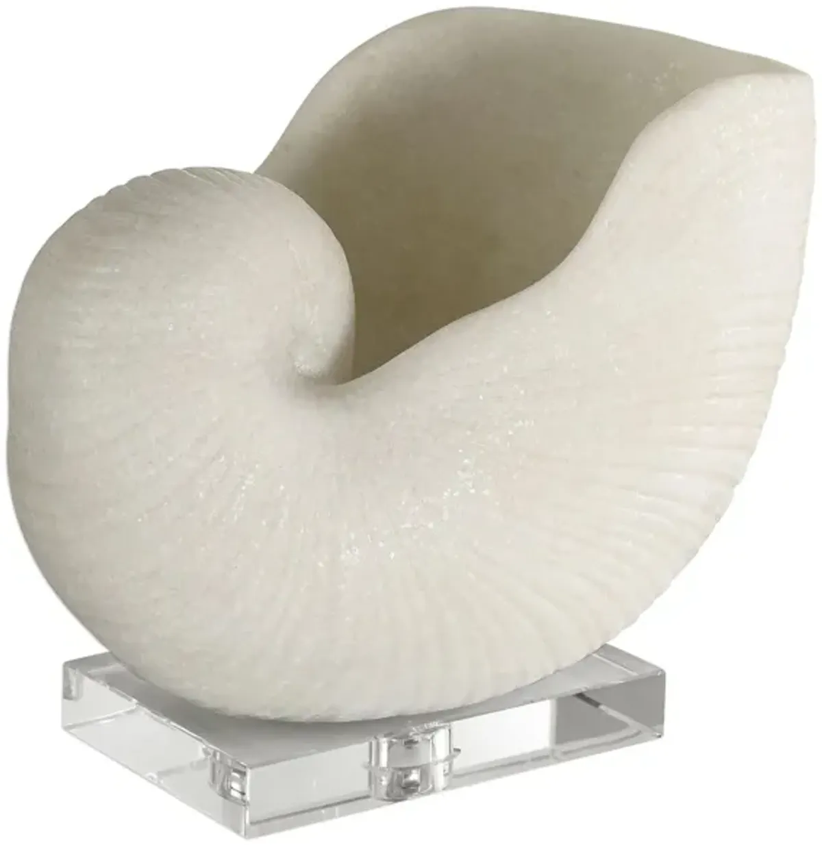 Nautilus Shell Sculpture