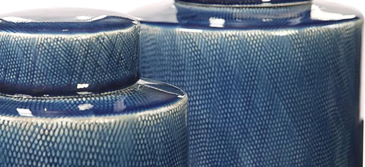 Saniya Containers: Set of 2