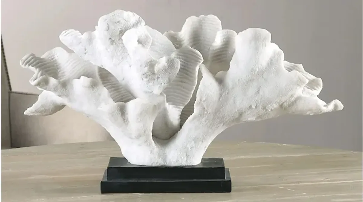 Blade Coral Statue