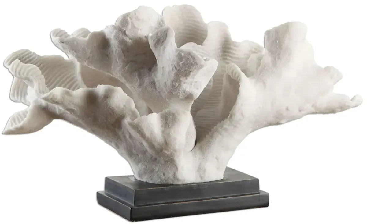 Blade Coral Statue in Black;White by Uttermost