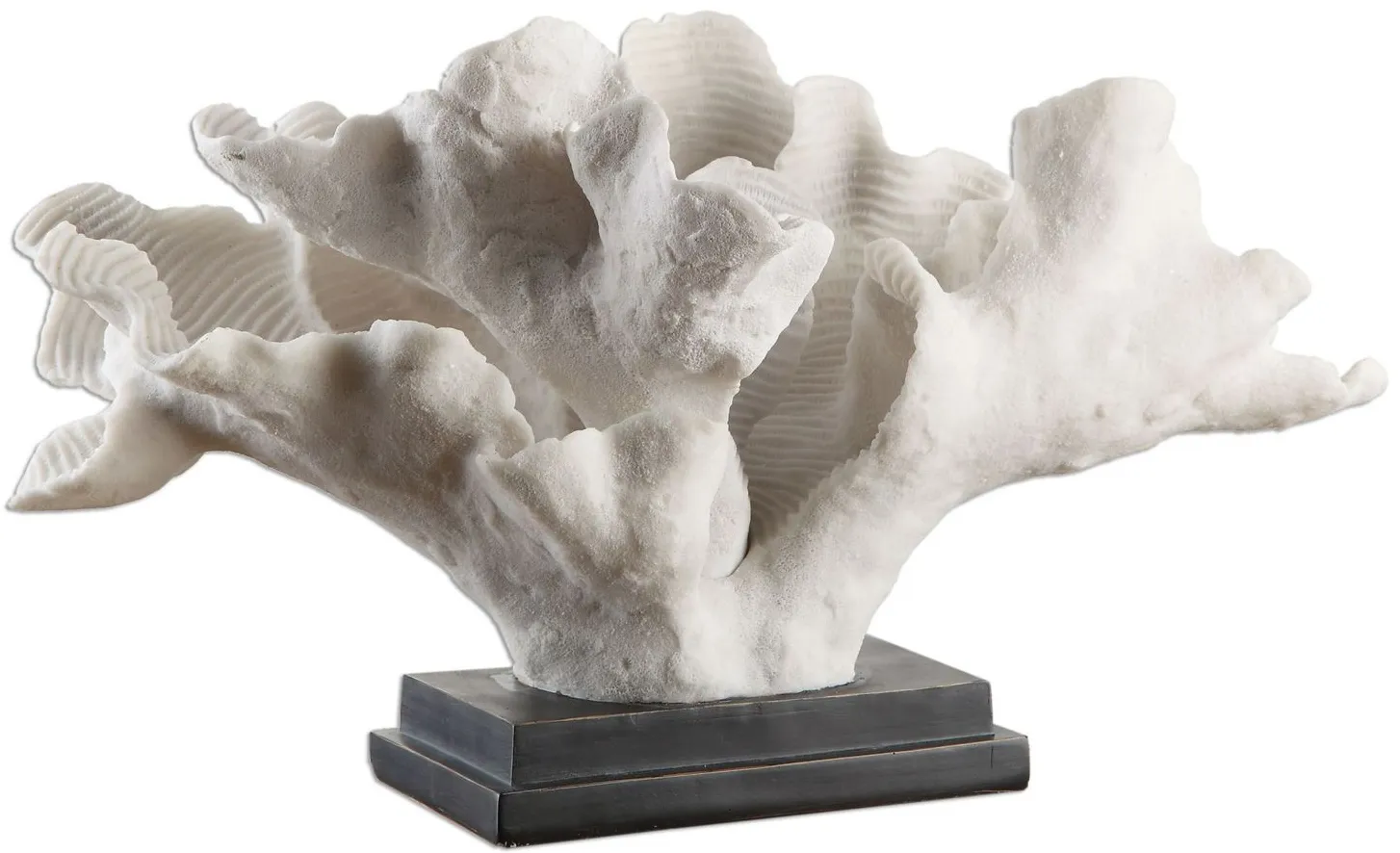 Blade Coral Statue in Black;White by Uttermost