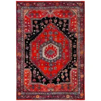 Hamadan Red Area Rug in Red & Black by Safavieh