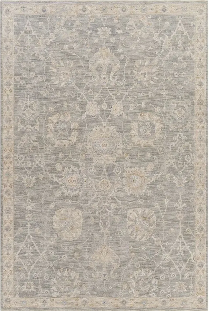 Avant Garde Area Rug in Medium Gray, Charcoal, Light Gray, Beige, Tan, Camel, Denim by Surya