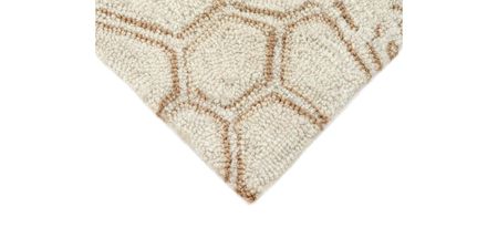 Turtle Indoor/Outdoor Area Rug in Neutral by Trans-Ocean Import Co Inc