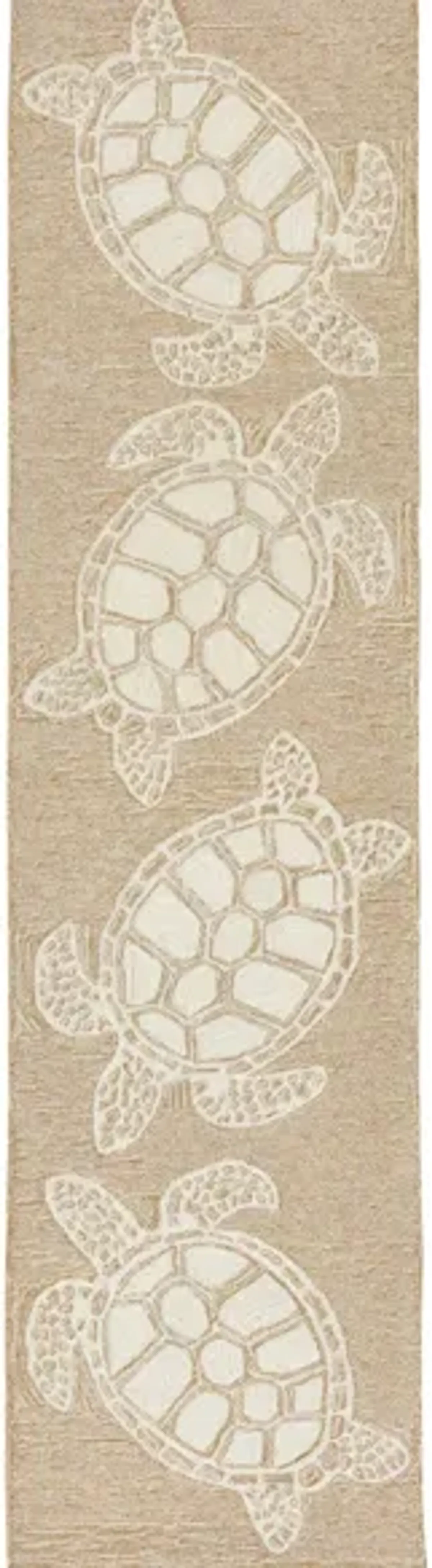 Turtle Indoor/Outdoor Area Rug in Neutral by Trans-Ocean Import Co Inc