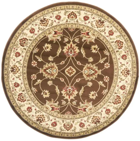 Severn Area Rug Round in Brown / Ivory by Safavieh