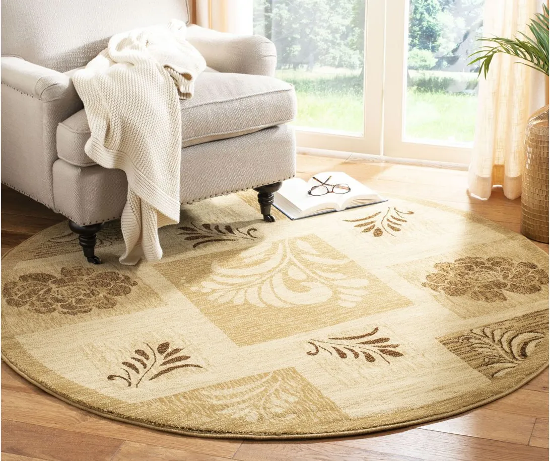 Derwent Area Rug Round in Ivory / Multi by Safavieh