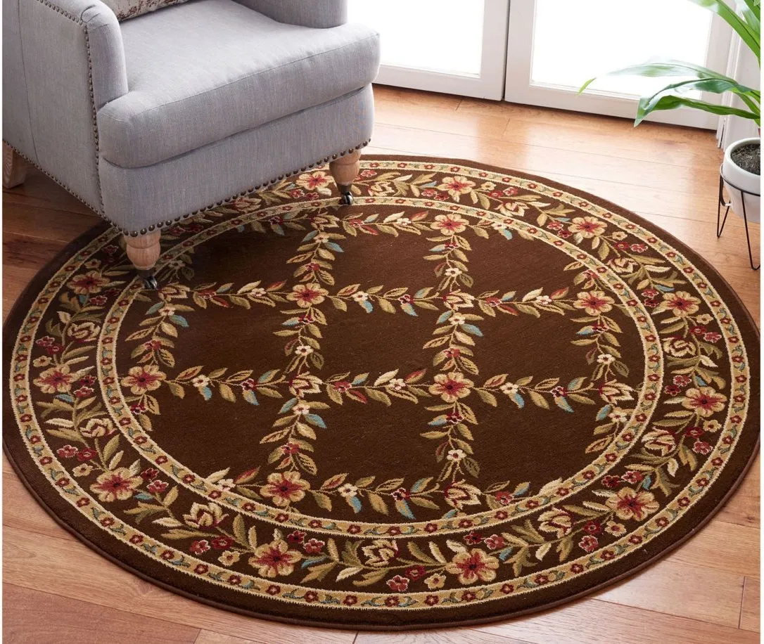 Queensferry Area Rug Round in Brown by Safavieh