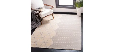 Omnette Area Rug in Gray/Ivory by Safavieh