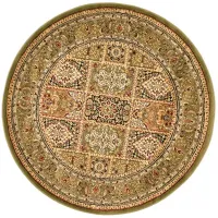 Wight Area Rug Round in Multi / Green by Safavieh