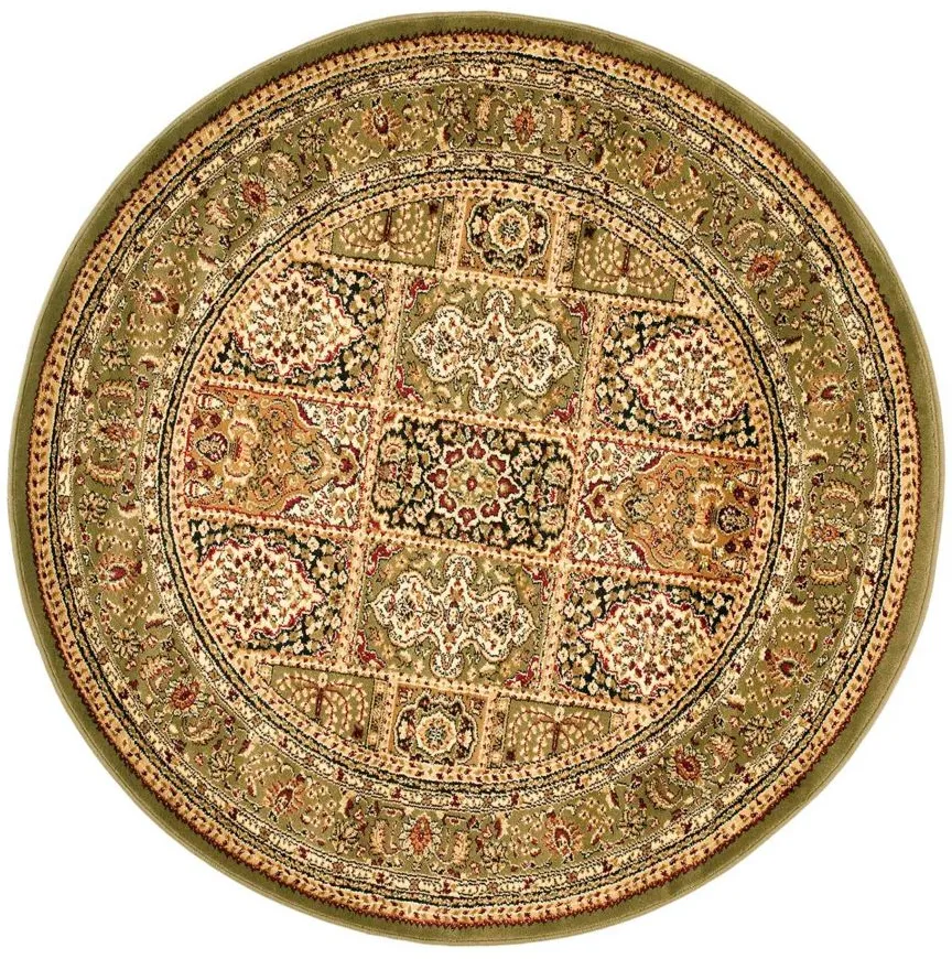 Wight Area Rug Round in Multi / Green by Safavieh