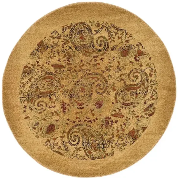 Grimaldi Area Rug Round